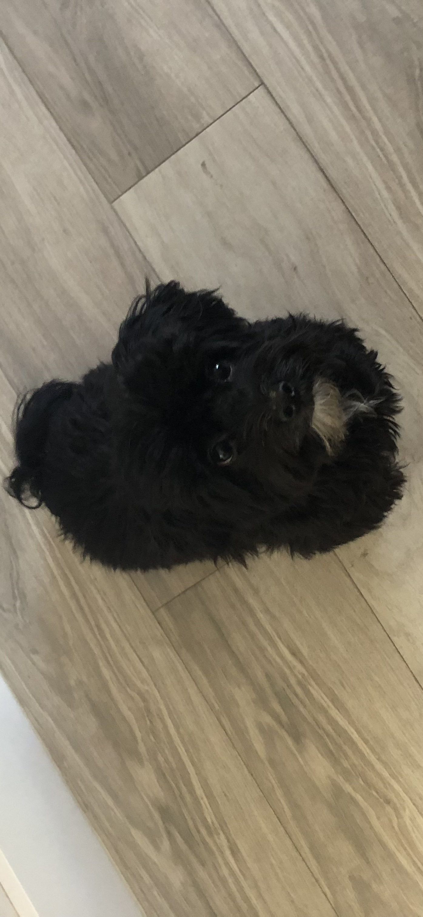 my favorite picture of him